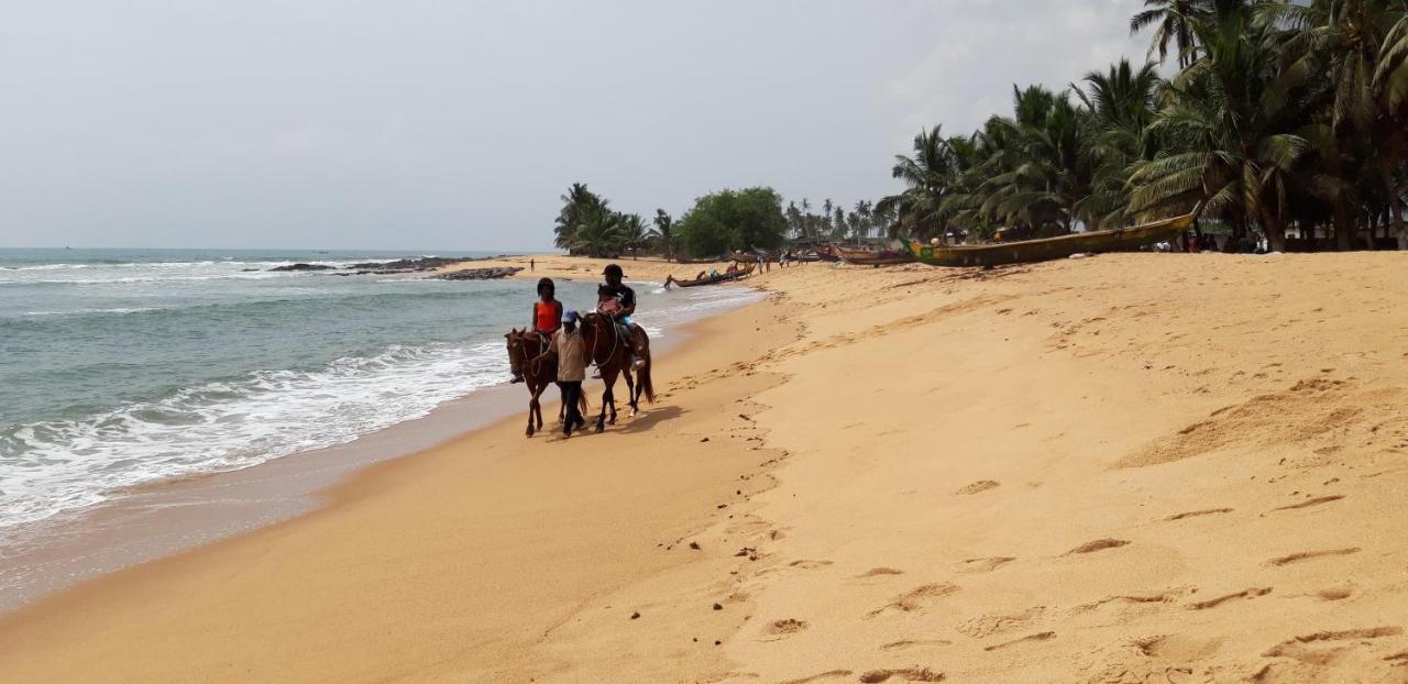 Hotel Afiki Elmina Exteriér fotografie